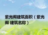 紫光阁建筑面积（紫光阁 建筑名称）