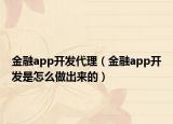 金融app开发代理（金融app开发是怎么做出来的）