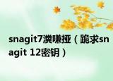 snagit7瀵嗛挜（跪求snagit 12密钥）