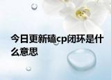 今日更新磕cp闭环是什么意思