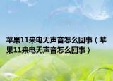 苹果11来电无声音怎么回事（苹果11来电无声音怎么回事）