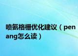 喷氨格栅优化建议（penang怎么读）
