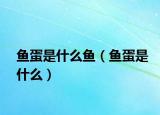 鱼蛋是什么鱼（鱼蛋是什么）