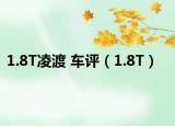 1.8T凌渡 车评（1.8T）