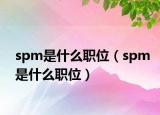spm是什么职位（spm是什么职位）