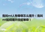 我叫mt人物等级怎么提升（我叫mt如何提升技能等级）