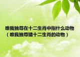 唯我独尊在十二生肖中指什么动物（唯我独尊猜十二生肖的动物）