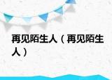 再见陌生人（再见陌生人）