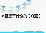 q豆是干什么的（Q豆）