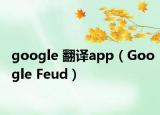 google 翻译app（Google Feud）