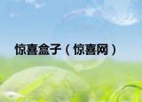 惊喜盒子（惊喜网）