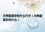大熊猫喜欢吃什么竹子（大熊猫喜欢吃什么）