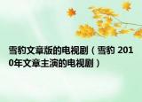 雪豹文章版的电视剧（雪豹 2010年文章主演的电视剧）