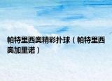 帕特里西奥精彩扑球（帕特里西奥加里诺）