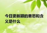 今日更新颖的意思和含义是什么