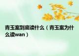 青玉案到底读什么（青玉案为什么读wan）
