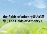 the fields of athenry表达的思想（The Fields of Athenry）