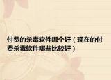 付费的杀毒软件哪个好（现在的付费杀毒软件哪些比较好）