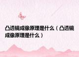 凸透镜成像原理是什么（凸透镜成像原理是什么）