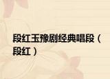 段红玉豫剧经典唱段（段红）