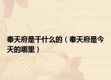 奉天府是干什么的（奉天府是今天的哪里）