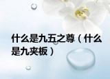 什么是九五之尊（什么是九夹板）