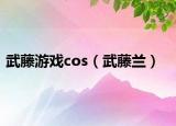 武藤游戏cos（武藤兰）