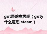 got是啥意思啊（goty 什么意思 steam）