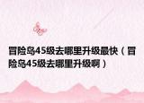 冒险岛45级去哪里升级最快（冒险岛45级去哪里升级啊）