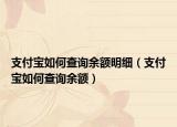 支付宝如何查询余额明细（支付宝如何查询余额）