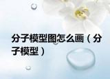 分子模型图怎么画（分子模型）