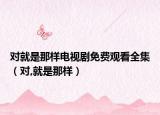 对就是那样电视剧免费观看全集（对,就是那样）