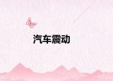 汽车震动