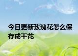 今日更新玫瑰花怎么保存成干花