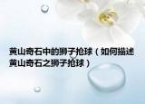 黄山奇石中的狮子抢球（如何描述黄山奇石之狮子抢球）