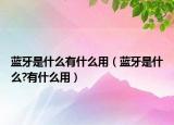 蓝牙是什么有什么用（蓝牙是什么?有什么用）
