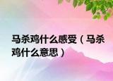 马杀鸡什么感受（马杀鸡什么意思）