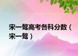 宋一骜高考各科分数（宋一骜）