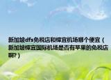 新加坡dfs免税店和樟宜机场哪个便宜（新加坡樟宜国际机场是否有苹果的免税店啊?）