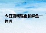 今日更新碟鱼和鲽鱼一样吗