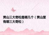 黄山三大奇松是哪几个（黄山里有哪三大奇松）