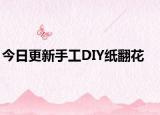 今日更新手工DIY纸翻花