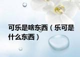 可乐是啥东西（乐可是什么东西）