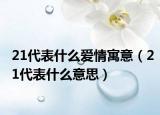 21代表什么爱情寓意（21代表什么意思）