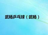 武杨乒乓球（武杨）