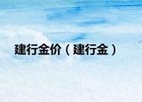 建行金价（建行金）