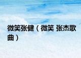 微笑张健（微笑 张杰歌曲）