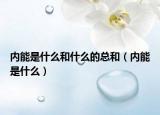 内能是什么和什么的总和（内能是什么）