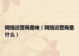 网络运营商是啥（网络运营商是什么）