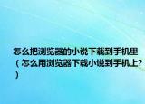 怎么把浏览器的小说下载到手机里（怎么用浏览器下载小说到手机上?）